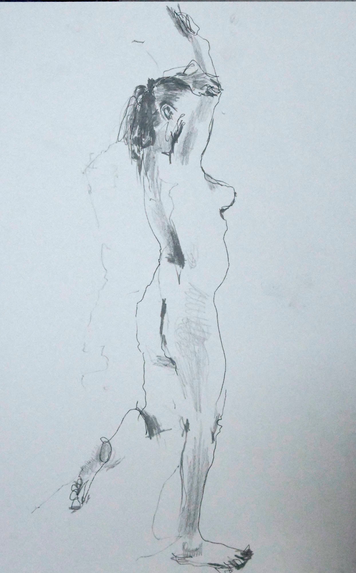 figure study